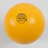 Afbeelding van Handbal SEA edu