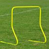 Afbeelding van loophaagje SEA - H 60cm