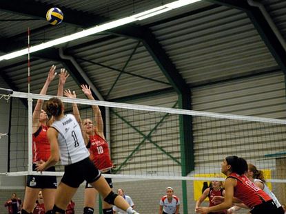 Afbeelding van Volleybalnet FIVB 9,5m - 3mm - kevlar