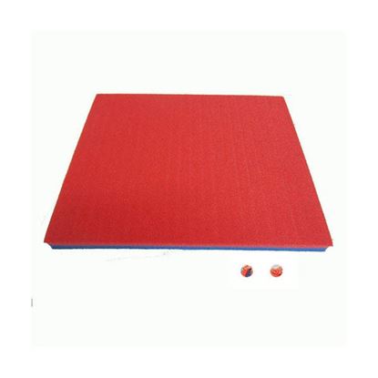 Afbeelding van Zwemplank hard S blauw/rood 