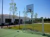 Afbeelding van Combi Kooidoel (met basketbal opzet)