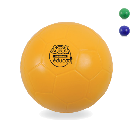 Afbeelding van Handbal SEA edu
