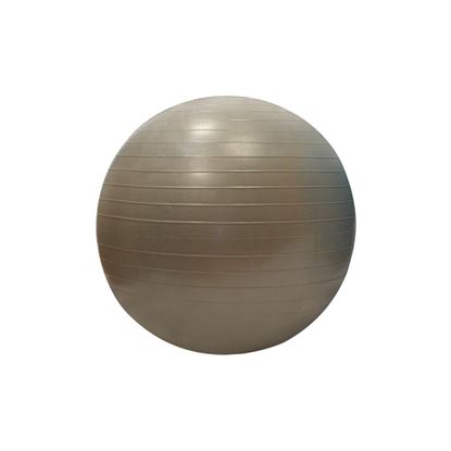 Afbeelding van Fit Ball 55cm