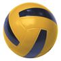 Afbeelding van Volleybal met huidcoating (dia20cm)