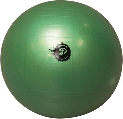 Afbeelding van Poull Ball - bal dia 55cm