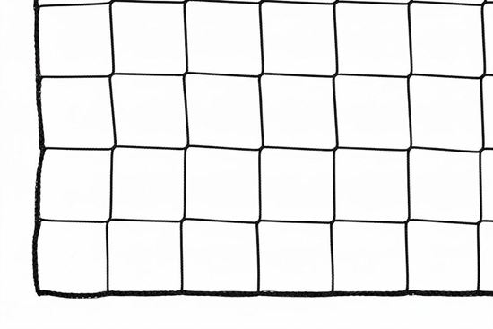 Afbeelding van Ballenvangersnet - PP - 3mm - 20x5 - Maas 120mm