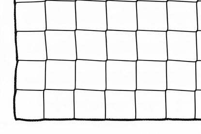 Afbeelding van Ballenvangersnet - PP - 3mm - 30x5 - Maas 120mm