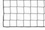 Afbeelding van Ballenvangersnet - PP - 3mm - 30x5 - Maas 120mm
